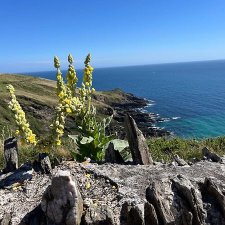 Pilchards Cottage Noss Mayo Luaran gambar